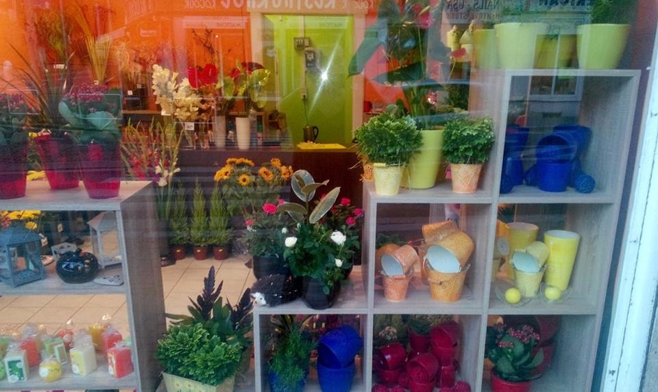 Nově otevřená prodejna květin v Ústí nad Labem