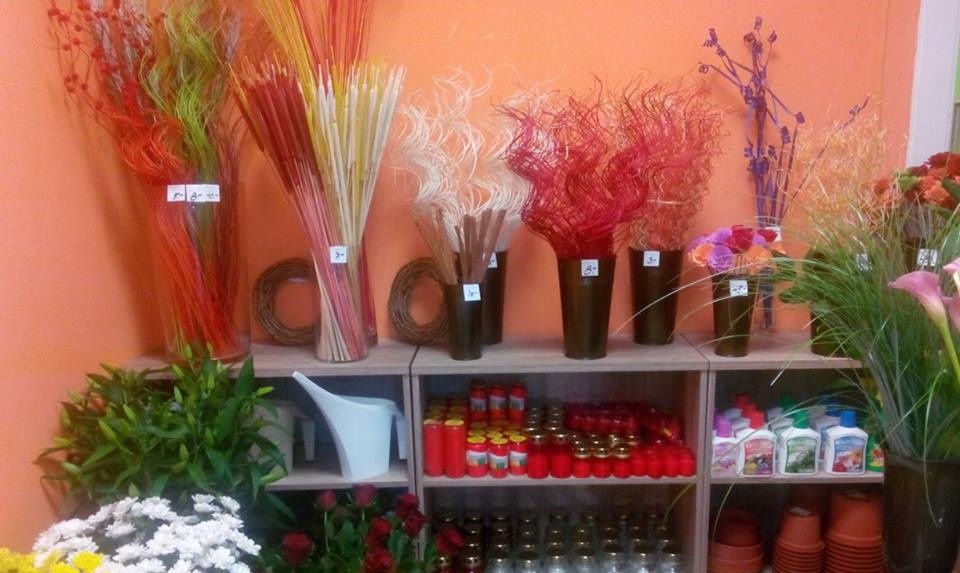 Nově otevřená prodejna květin v Ústí nad Labem
